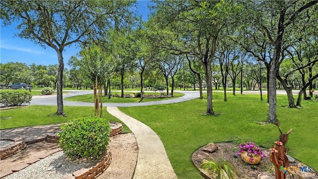 405 Pinnacle Pkwy, New Braunfels, TX 78132 - view of home's community featuring a lawn and view of scattered trees