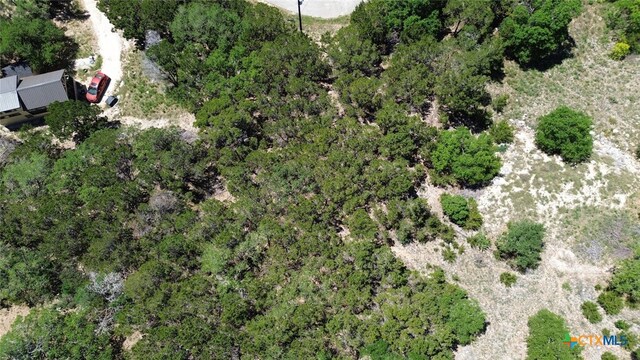 1352 Stardust Dr, Canyon Lake, TX 78133
