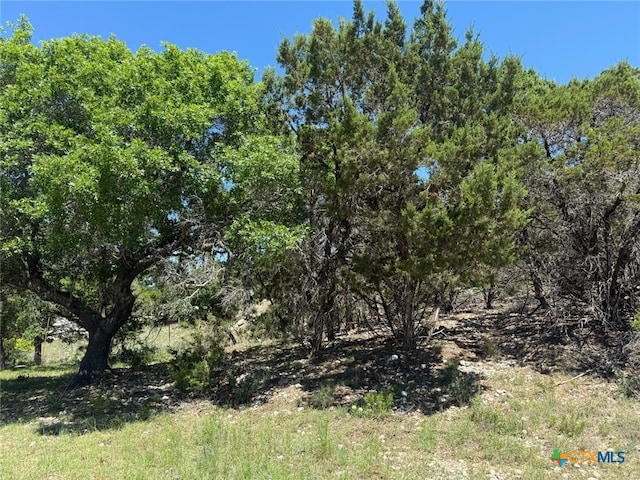 1352 Stardust Dr, Canyon Lake, TX 78133
