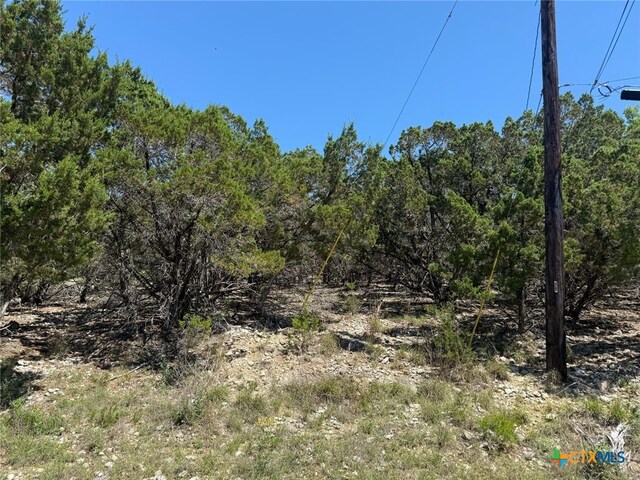 1352 Stardust Dr, Canyon Lake, TX 78133