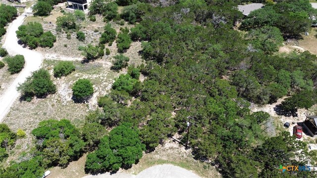 1352 Stardust Dr, Canyon Lake, TX 78133