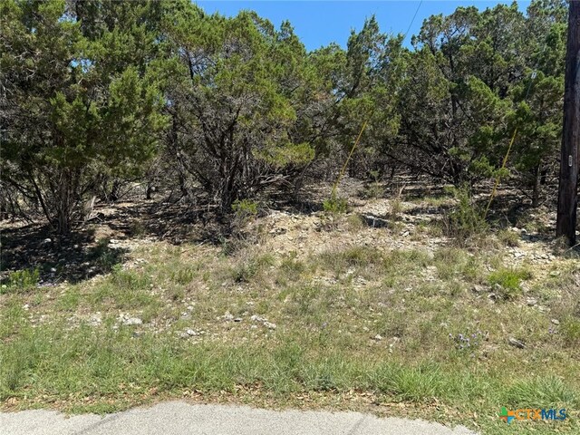 1352 Stardust Dr, Canyon Lake, TX 78133