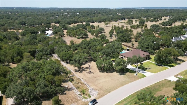 8378 Spring Creek Loop, Salado, TX 76571 - photo 12