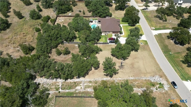 8378 Spring Creek Loop, Salado, TX 76571 - photo 5