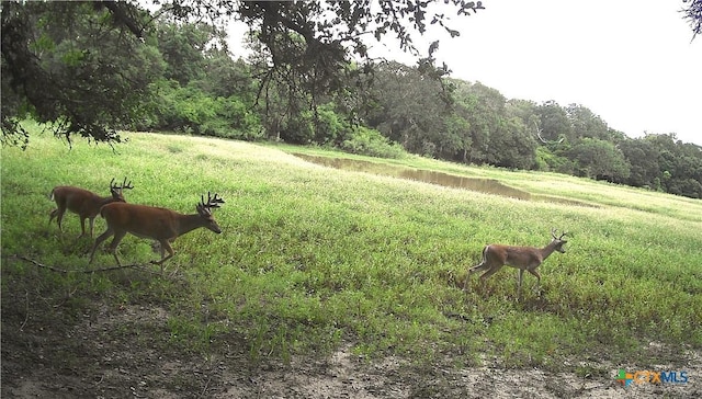 Listing photo 2 for TBD2 County Road 19, Garwood TX 77442