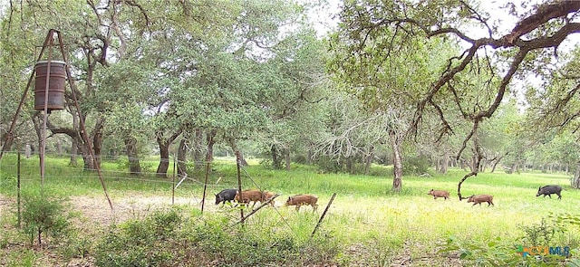 Listing photo 3 for TBD2 County Road 19, Garwood TX 77442