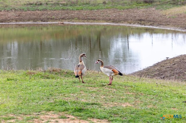 3270 Fm 671, Luling, TX 78648 - water view