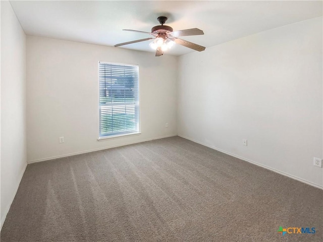 407 Viola Dr, Killeen, TX 76542 - photo 5