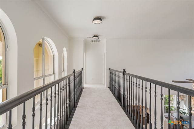 200 Tovas Secret Cv, Georgetown, TX 78628 - hall featuring carpet floors and ornamental molding