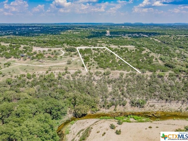 000 River Shoals Dr, Kempner TX, 76539 land for sale