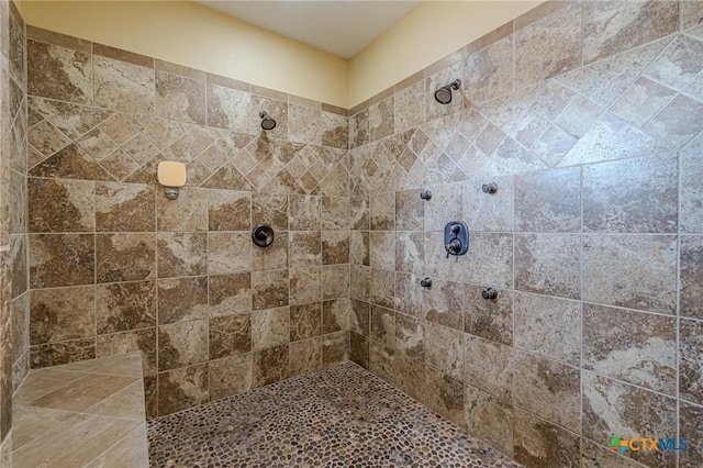 full bathroom with a tile shower