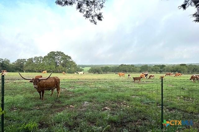 view of yard with a rural view