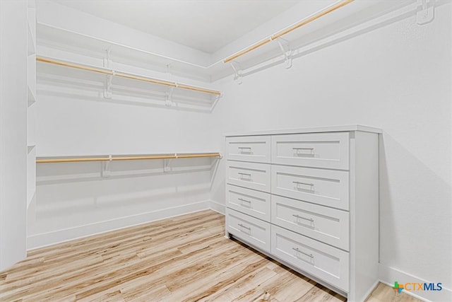 spacious closet with light wood-type flooring