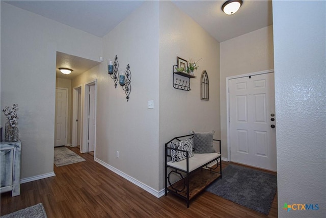 entryway with baseboards and wood finished floors