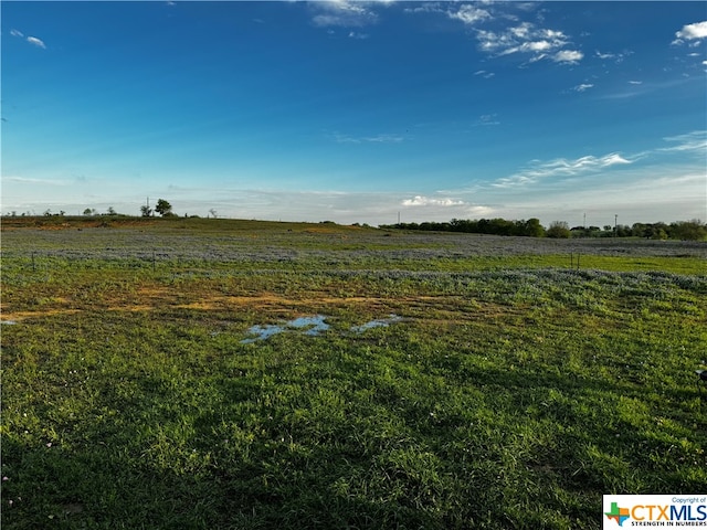 Listing photo 2 for 000 County Road 335, Shiner TX 77984