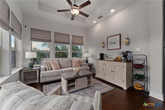 living room featuring plenty of natural light, dark hardwood / wood-style flooring, and a raised ceiling