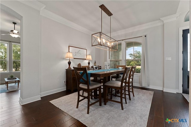 dining room featuring dark wood-type flooring, ornamental molding, and ceiling fan with notable chandelier