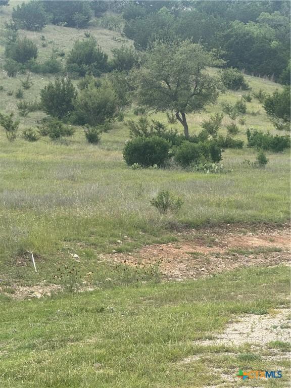 3013 Cottonwood Mesa Dr, Kempner, TX 76539