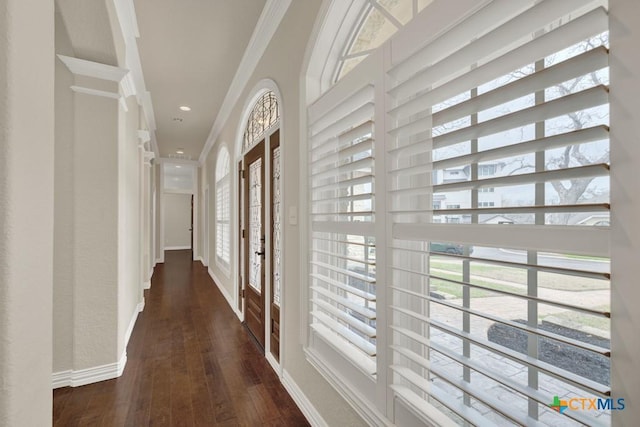 hall with ornamental molding and dark hardwood / wood-style flooring