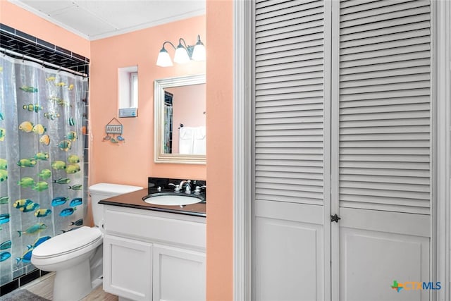 bathroom with toilet, vanity, and curtained shower