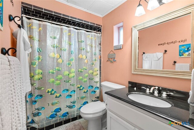 bathroom with toilet, vanity, and a shower with shower curtain