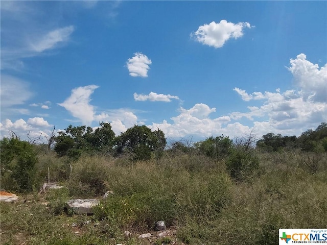 309 Eagle Basin Cir, Spicewood, TX 78669 - photo 2