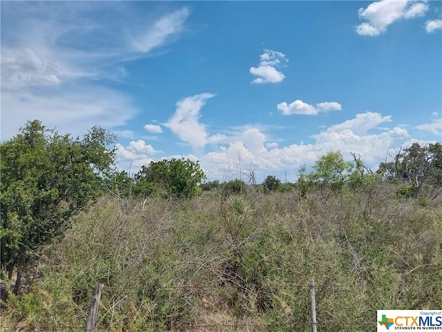 309 Eagle Basin Cir, Spicewood, TX 78669 - photo 6