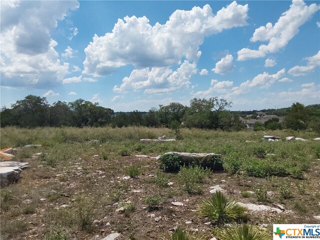 309 Eagle Basin Cir, Spicewood TX, 78669 land for sale