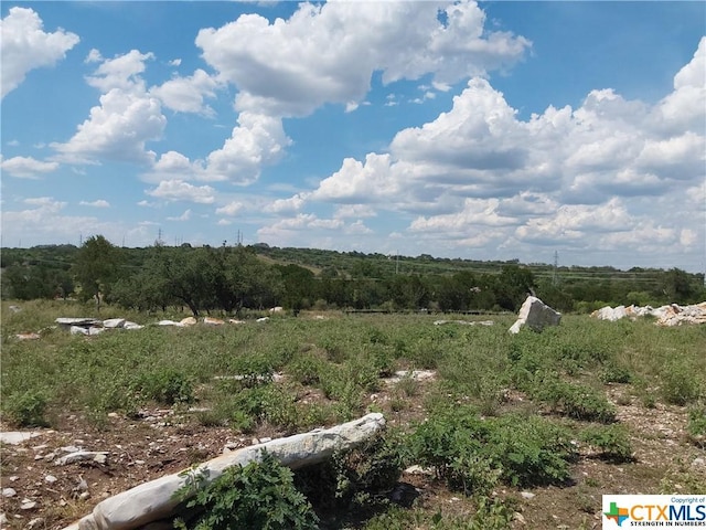 309 Eagle Basin Cir, Spicewood, TX 78669 - photo 5