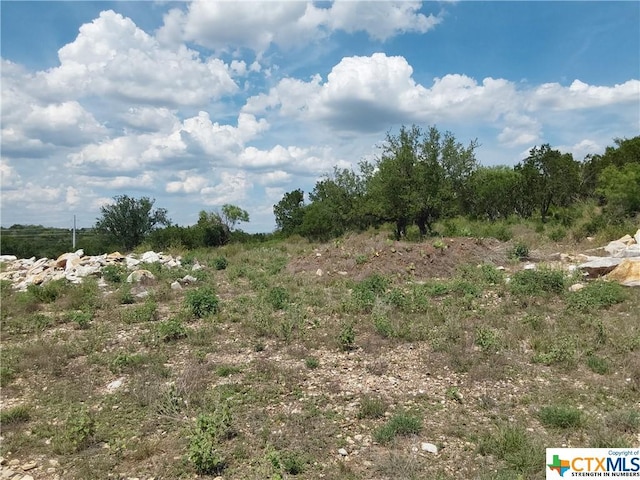 309 Eagle Basin Cir, Spicewood, TX 78669 - photo 9