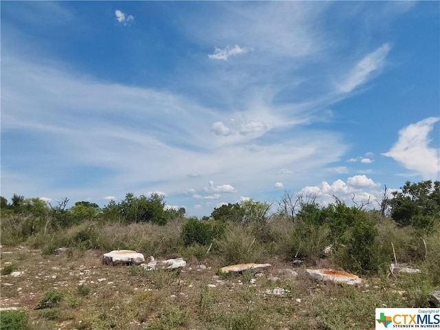 309 Eagle Basin Cir, Spicewood, TX 78669 - photo 3