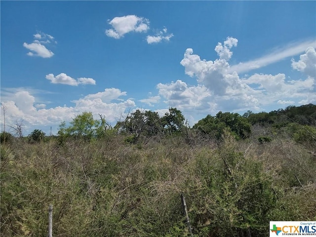309 Eagle Basin Cir, Spicewood, TX 78669 - photo 8