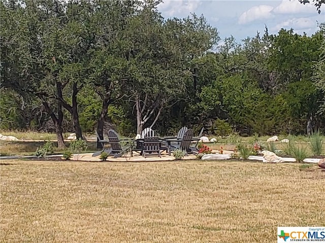 309 Eagle Basin Cir, Spicewood, TX 78669 - photo 14