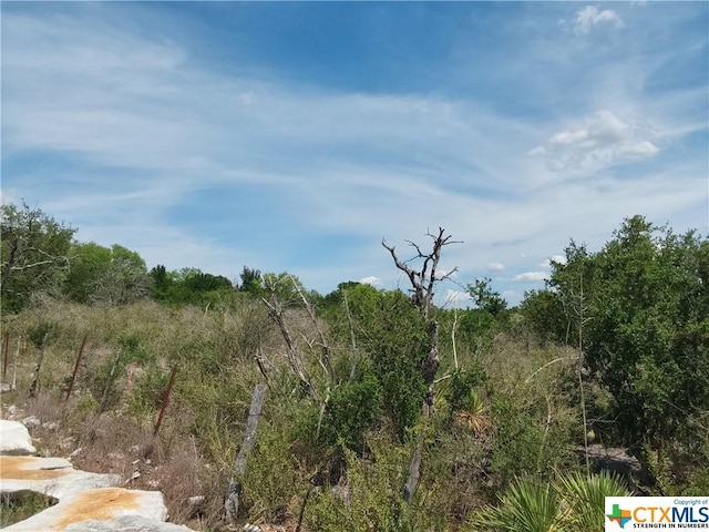 309 Eagle Basin Cir, Spicewood, TX 78669 - photo 7