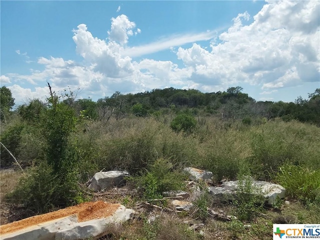 309 Eagle Basin Cir, Spicewood, TX 78669 - photo 4