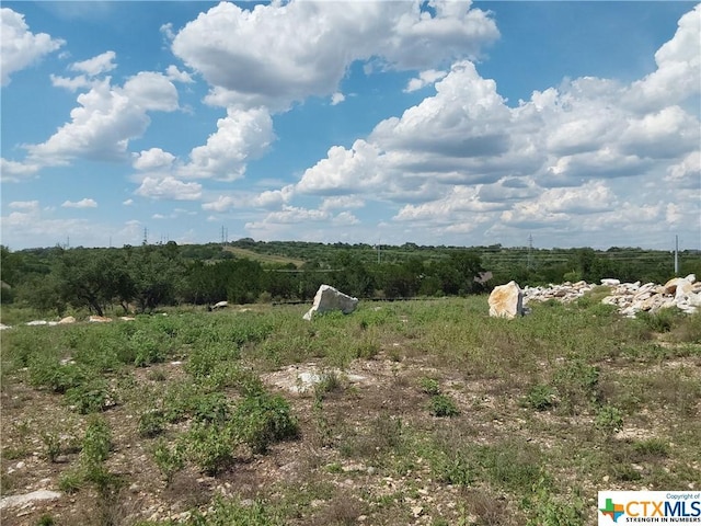309 Eagle Basin Cir, Spicewood, TX 78669 - photo 10