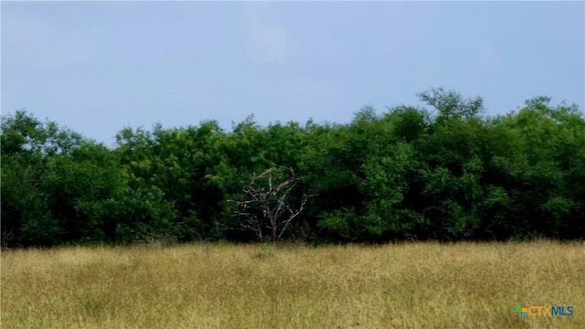 00 San Antonio River Rd, Victoria, TX 77905 - photo 5