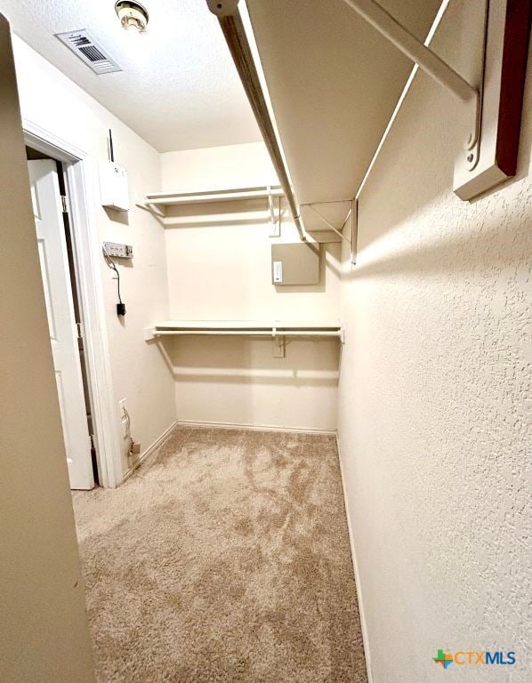 walk in closet with light colored carpet