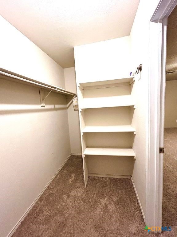 walk in closet with dark colored carpet