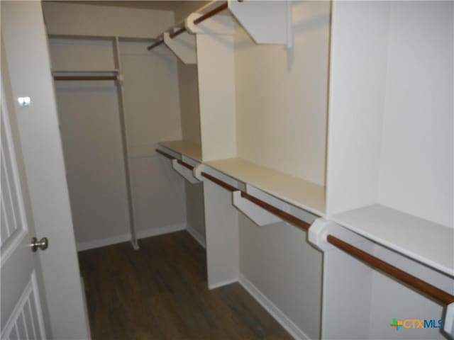 walk in closet featuring dark hardwood / wood-style floors