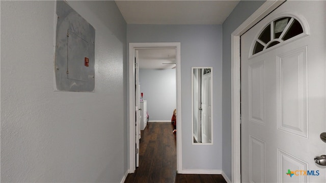 hallway featuring electric panel, baseboards, and dark wood-style flooring