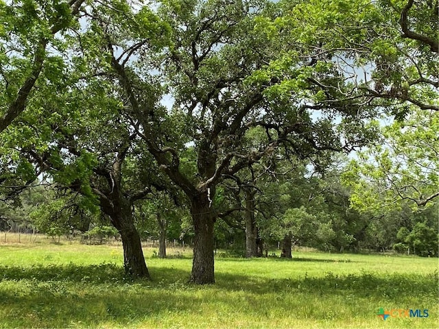 589 Bluebonnet Ln, Yoakum, TX 77995 - view of local wilderness with a forest view