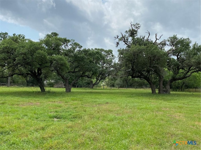 589 Bluebonnet Ln, Yoakum, TX 77995 - view of yard