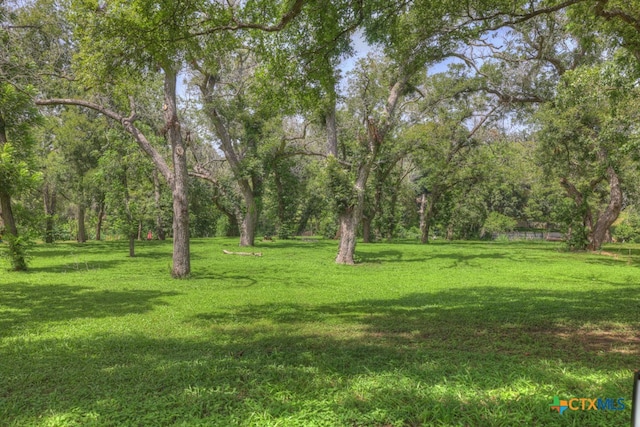 Listing photo 2 for 336 Deer Slayer Dr, Seguin TX 78155