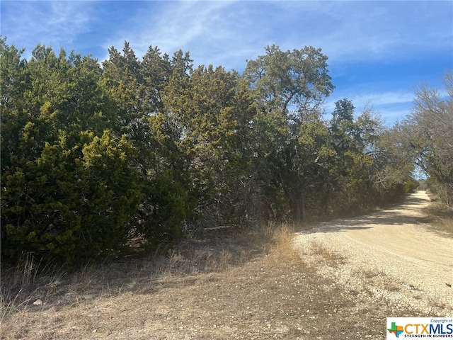 Listing photo 2 for 10ACRES County Road 3831, Evant TX 76525