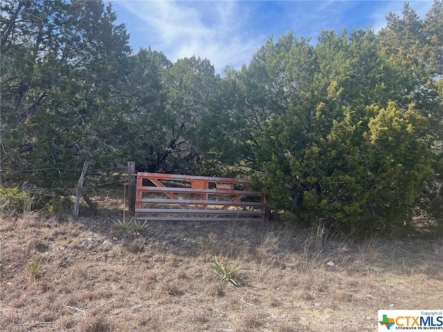 10ACRES County Road 3831, Evant TX, 76525 land for sale