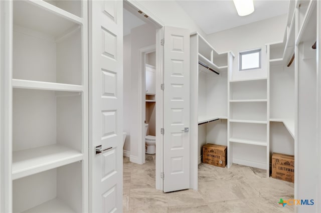 view of spacious closet