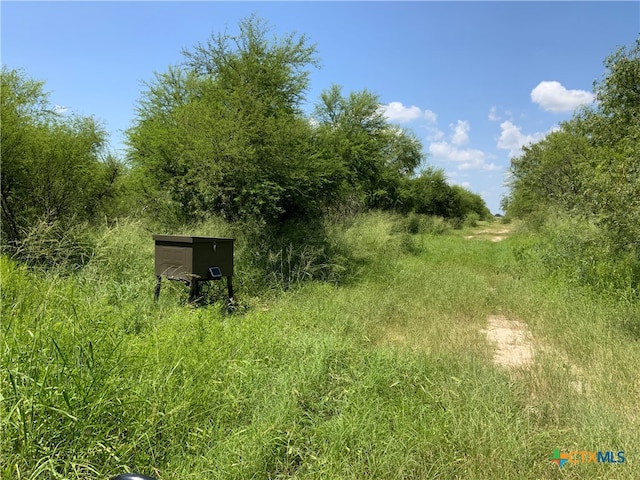 14135 County Road 1144, Sinton TX, 78387 land for sale