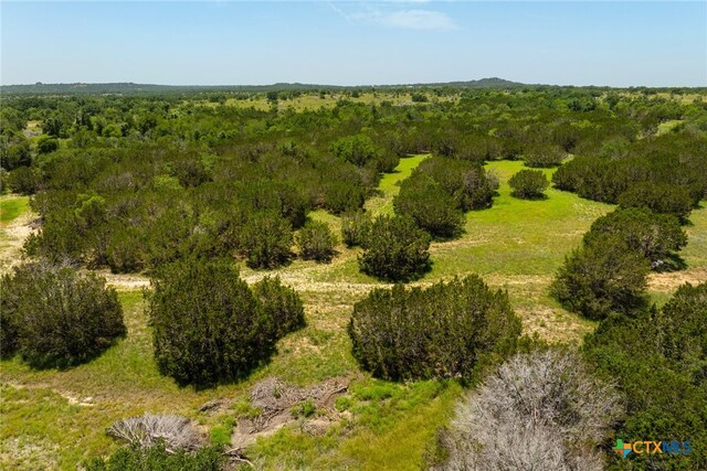 788 Mustang Ln, Killeen, TX 76549 - photo 10