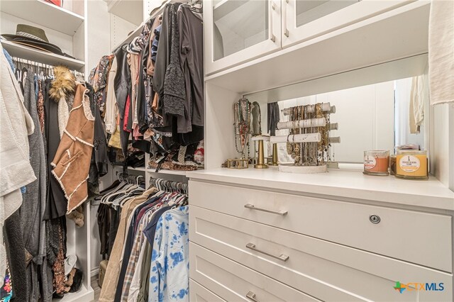 view of spacious closet